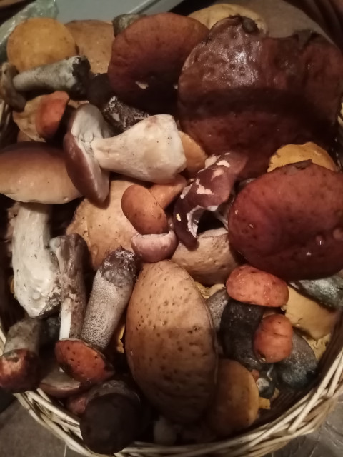 Валентин Сергеев, Санкт-Петербург, м. Пионерская. Фото на сайте ГдеПапа.Ру