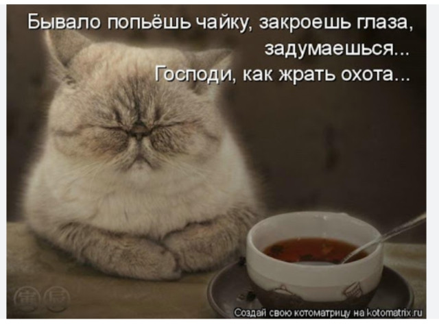 Софья, Россия, Ставрополь. Фото на сайте ГдеПапа.Ру