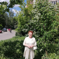 Елена, Москва, м. Бульвар Дмитрия Донского, 66 лет