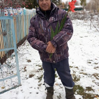 Анатолий Фёд-Ч Краев, Россия, Омск, 68 лет