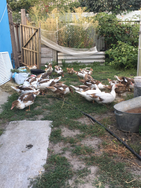 Марк, Россия, Курск. Фото на сайте ГдеПапа.Ру