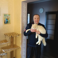 Николай, Россия, Мамоново, 64 года
