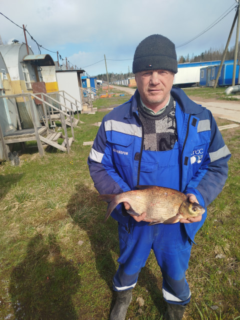 Серж, Санкт-Петербург, м. Рыбацкое. Фото на сайте ГдеПапа.Ру