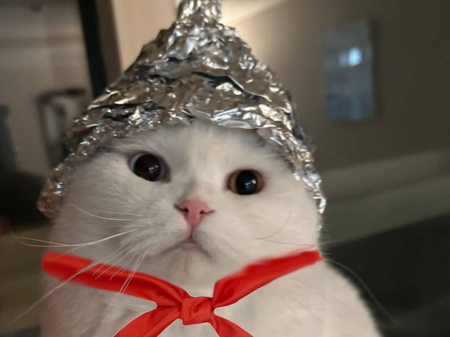 Иван Васильевич, Россия, Москва, 49 лет. Вот зарегистрировался. Буквы знаю. Слова собираю.