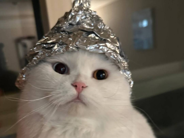 Иван Васильевич, Россия, Москва. Фото на сайте ГдеПапа.Ру