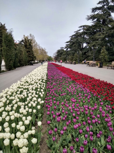 Сергей, Россия, Саратов. Фото на сайте ГдеПапа.Ру