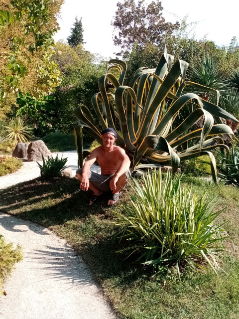 Дмитрий, Россия, Санкт-Петербург. Фото на сайте ГдеПапа.Ру