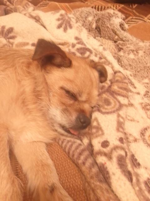 Татьяна, Россия, Москва. Фото на сайте ГдеПапа.Ру