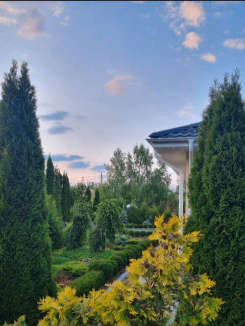 Николай, Россия, Воронеж. Фото на сайте ГдеПапа.Ру