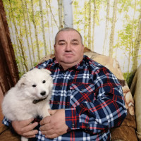 Леонид, Россия, Воронеж, 55 лет