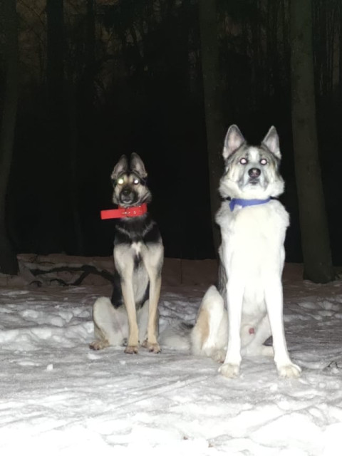 Светлана, Россия, Москва. Фото на сайте ГдеПапа.Ру