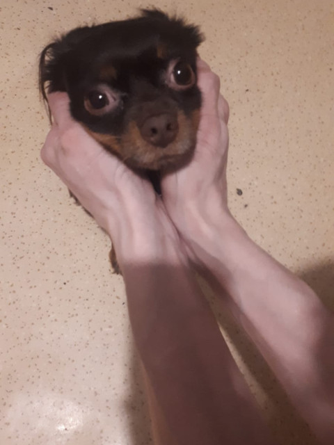 Алексей, Москва, м. Площадь Ильича. Фото на сайте ГдеПапа.Ру