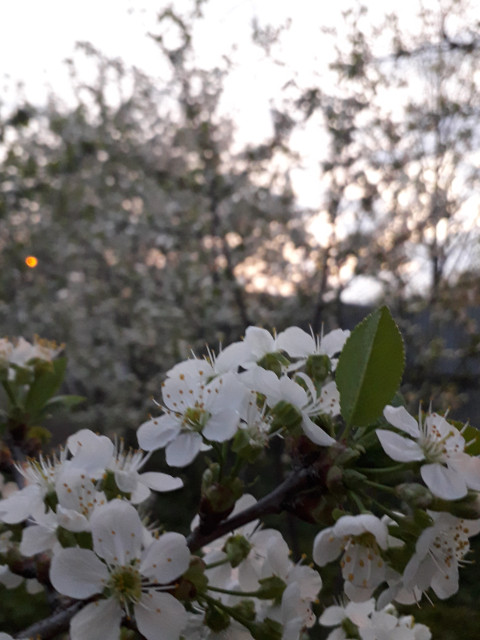 Алена, Россия, Домодедово. Фото на сайте ГдеПапа.Ру