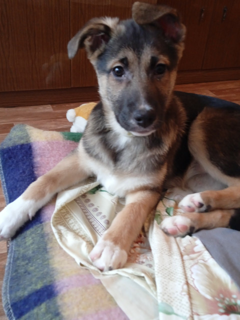 Виталий, Россия, Москва. Фото на сайте ГдеПапа.Ру