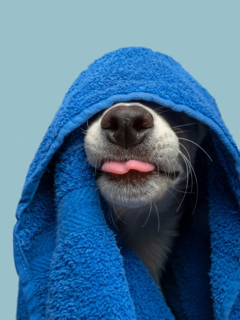 Елена, Россия, Санкт-Петербург, 49 лет, 2 ребенка. Хотелось бы встретить друга, любовника, единомышленника в одном лице.  Анкета 735821. 