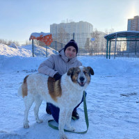Владимир, Россия, Москва, 33 года