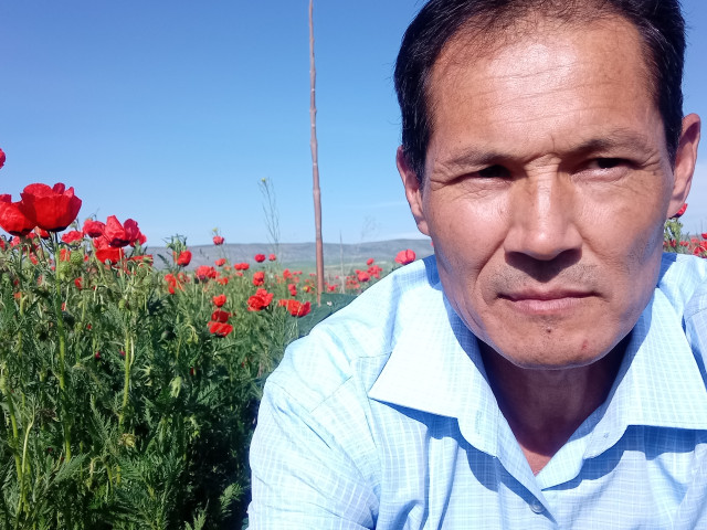 Дамир, Кыргызстан, Бишкек, 56 лет. Познакомлюсь с женщиной для любви и серьезных отношений, брака и создания семьи.Ищу спутницу жизни