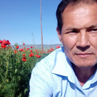 Дамир, Кыргызстан, Бишкек, 56 лет