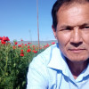 Дамир, Кыргызстан, Бишкек, 55