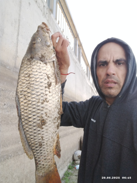 Олег Киямов  Казань, Россия, Казань. Фото на сайте ГдеПапа.Ру