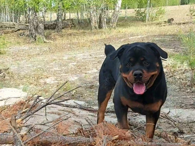 Василина, Россия, Курган. Фото на сайте ГдеПапа.Ру