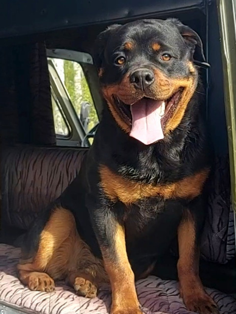 Василина, Россия, Курган. Фото на сайте ГдеПапа.Ру