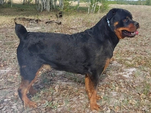 Василина, Россия, Курган. Фото на сайте ГдеПапа.Ру