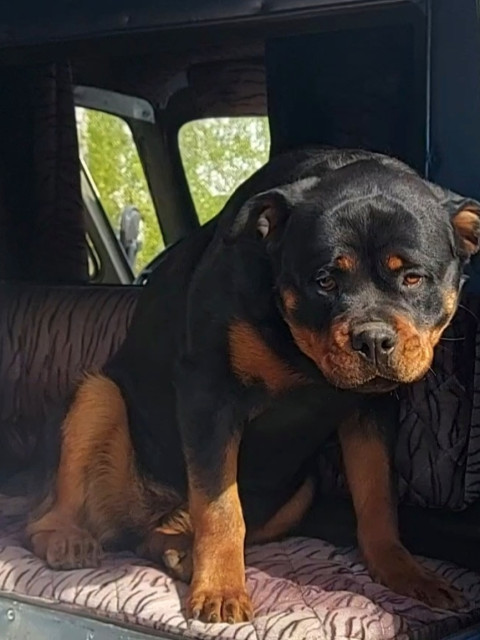 Василина, Россия, Курган. Фото на сайте ГдеПапа.Ру