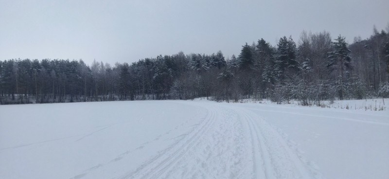 Поехали на лыжах?