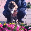 Альберт, Казахстан, Костанай. Фотография 1530308