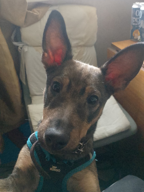 Артем, Москва, м. Новопеределкино. Фото на сайте ГдеПапа.Ру