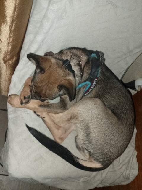 Артем, Москва, м. Новопеределкино. Фото на сайте ГдеПапа.Ру