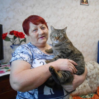 Нина Кайгородцева (Самкова), Россия, Курган, 74 года