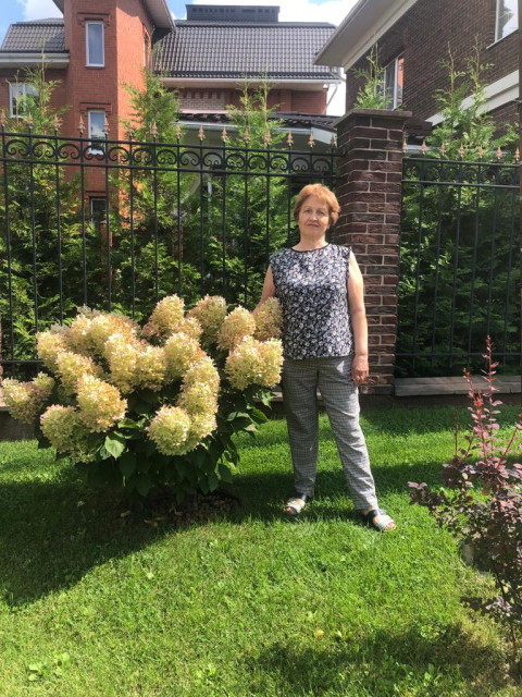 Надежда, Москва, 67 лет, 1 ребенок. Познакомлюсь с мужчиной для любви и серьезных отношений, брака и создания семьи.  Анкета 748667. 