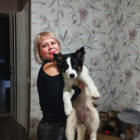Елена, Россия, Ульяновск, 49 лет
