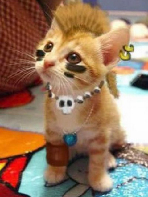 Нет Больше Меня Прежнего, Санкт-Петербург, 22 года, 2 фото. Познакомлюсь для создания семьи.