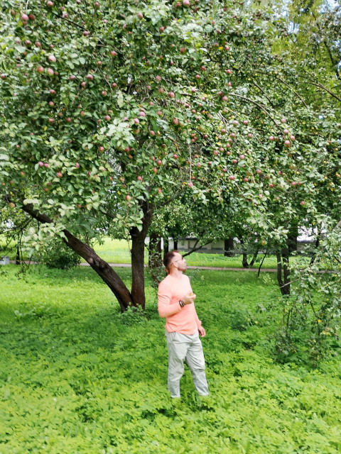 Тимон, Россия, Москва. Фото на сайте ГдеПапа.Ру