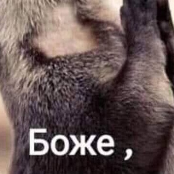 Дмитрий Васильевич, Россия, Железногорск-Илимский. Фото на сайте ГдеПапа.Ру