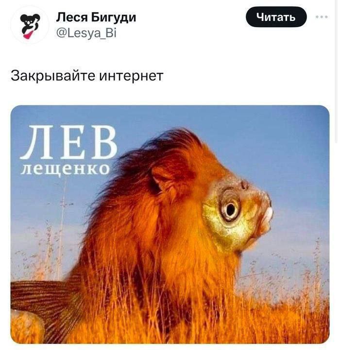 И тебя вылечат ..и меня)