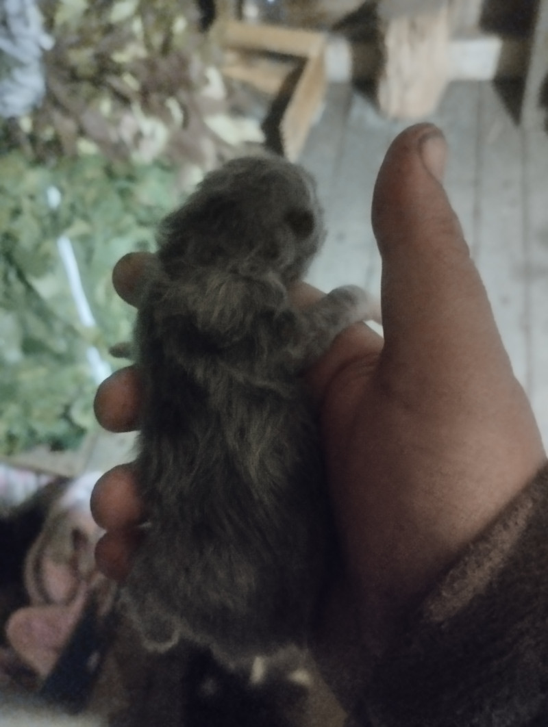 Придумываем имена