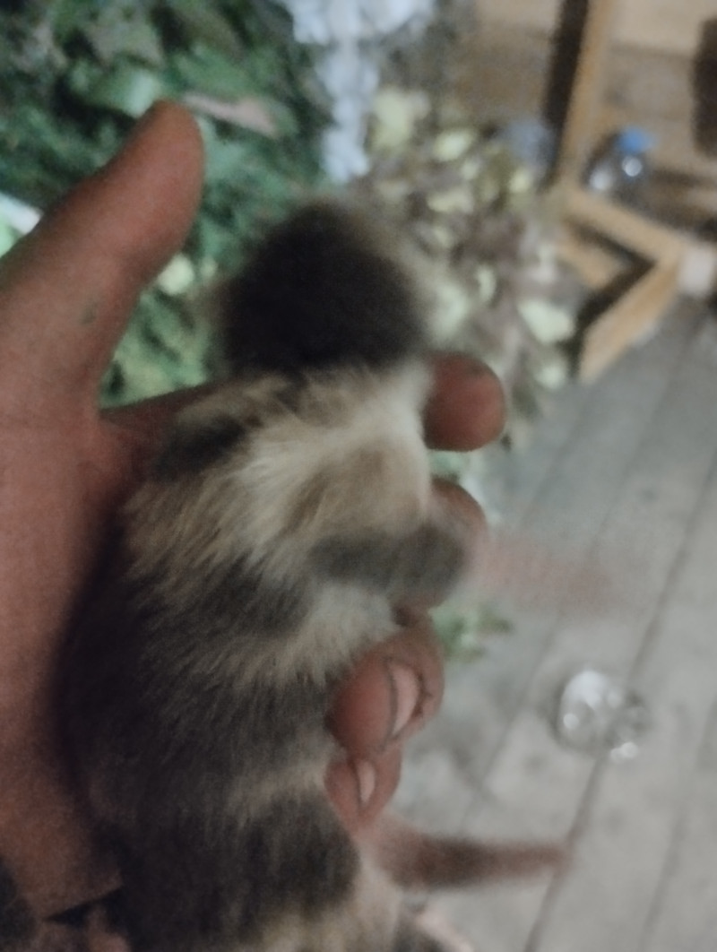 Придумываем имена