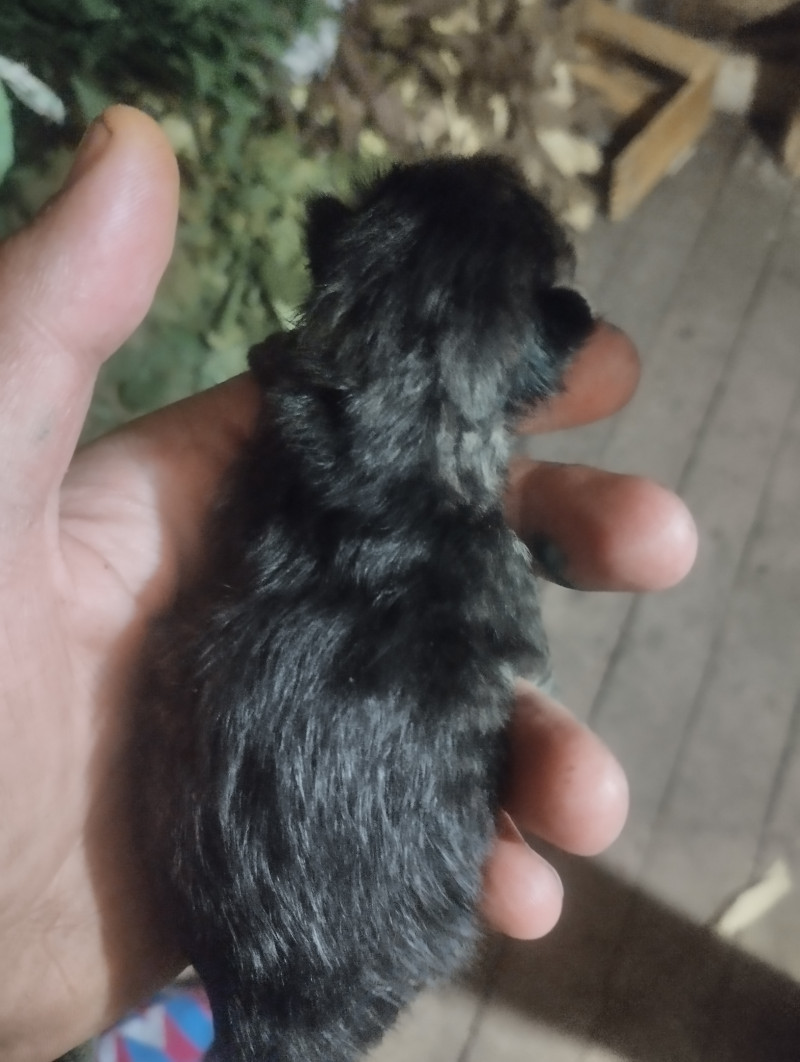 Придумываем имена