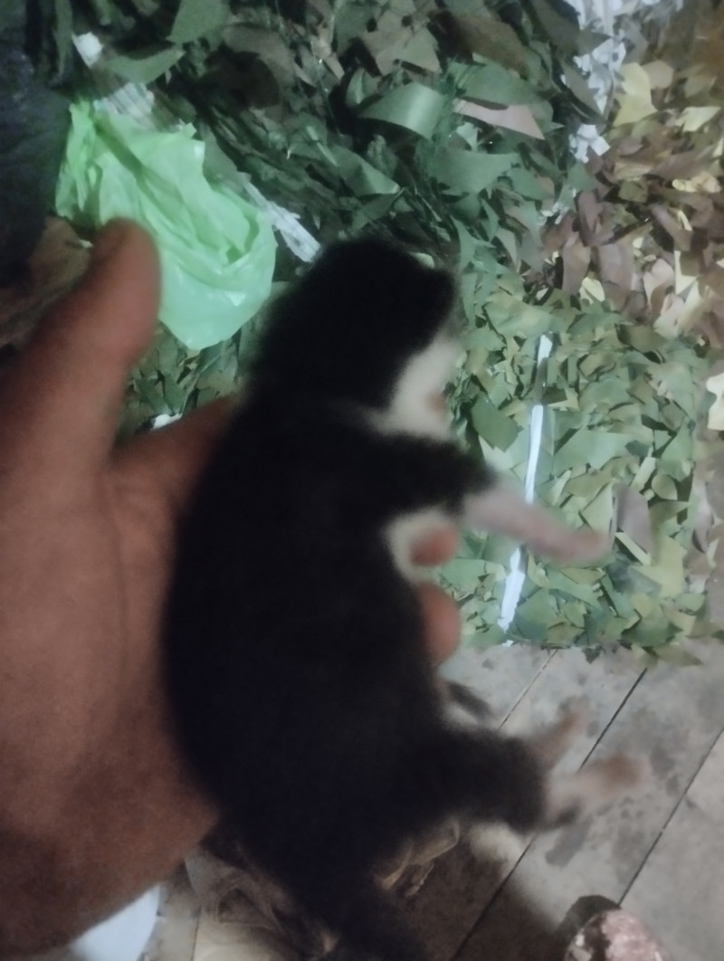 Придумываем имена