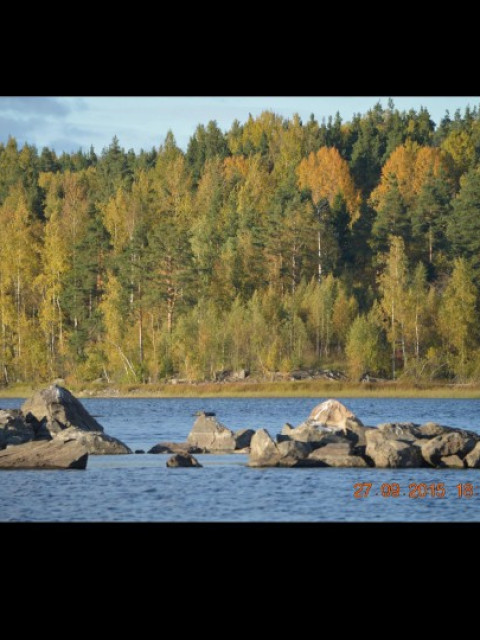 Геннадий, Россия, Таганрог. Фото на сайте ГдеПапа.Ру