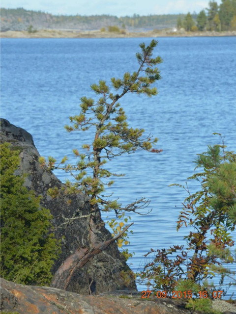 Геннадий, Россия, Таганрог. Фото на сайте ГдеПапа.Ру