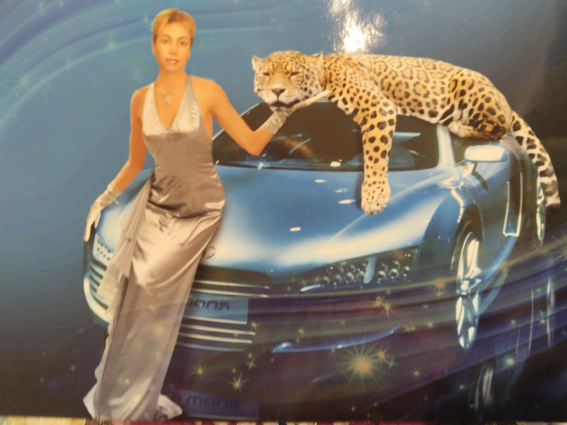 Ангелина, Россия, Санкт-Петербург. Фото на сайте ГдеПапа.Ру