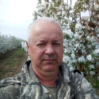 Сергей, Россия, Волгоград, 52 года