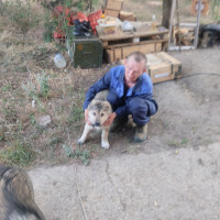 Сергей, Россия, Чебоксары, 50 лет