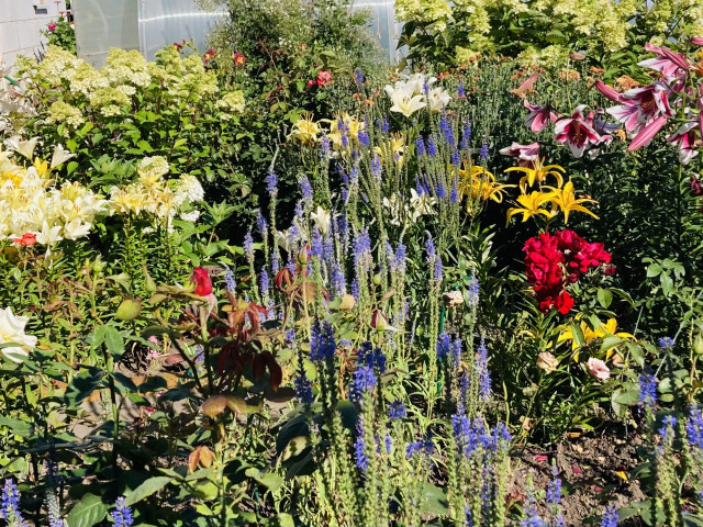 Наталья, Россия, Вятские Поляны. Фото на сайте ГдеПапа.Ру