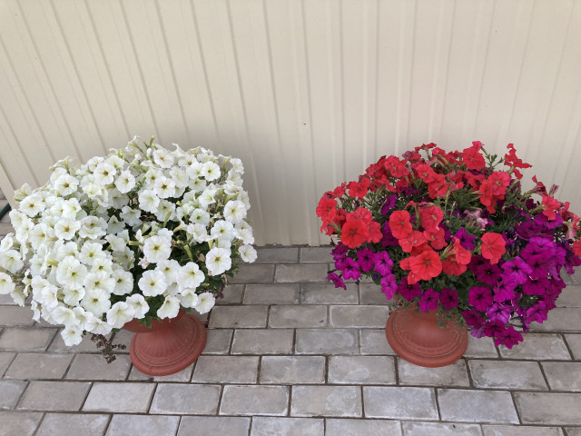 Наталья, Россия, Вятские Поляны. Фото на сайте ГдеПапа.Ру